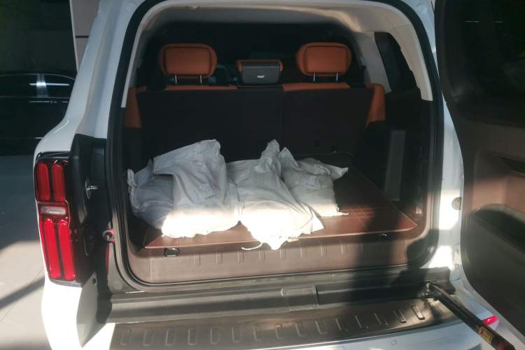 Used Tank 500 2023 3.0T Business Edition "Creation" Style 5 Seats Trunk