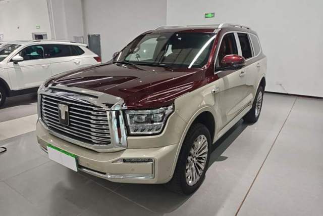 Used Tank 500 2023 3.0T Special Custom Edition 5 Seats