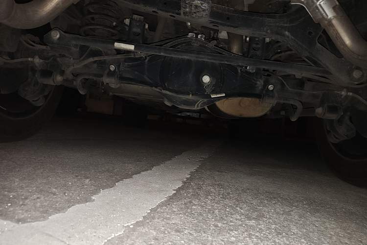 Used Tank 500 2023 3.0T Sport Edition Realm-Setting 5-Seater Chassis Rear