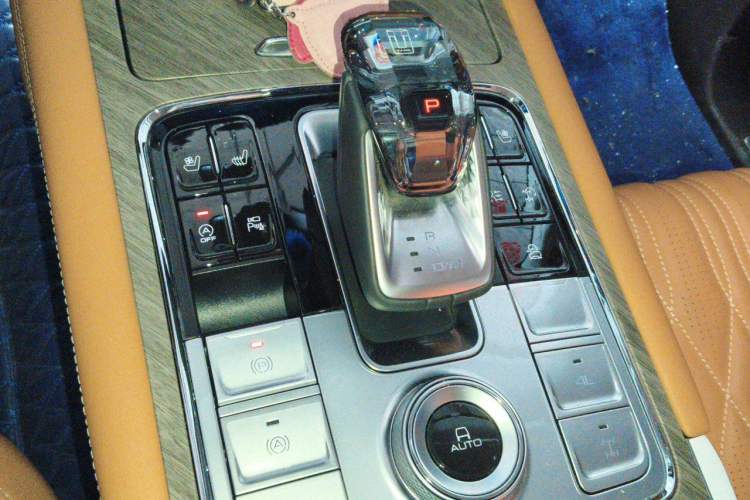 Used Tank 500 2023 3.0T Business Edition "Creation" Style 5 Seats Gear Lever