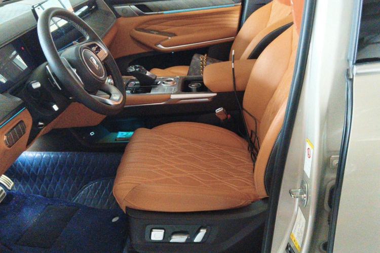 Used Tank 500 2023 3.0T Business Edition "Creation" Style 5 Seats Left Front Seat