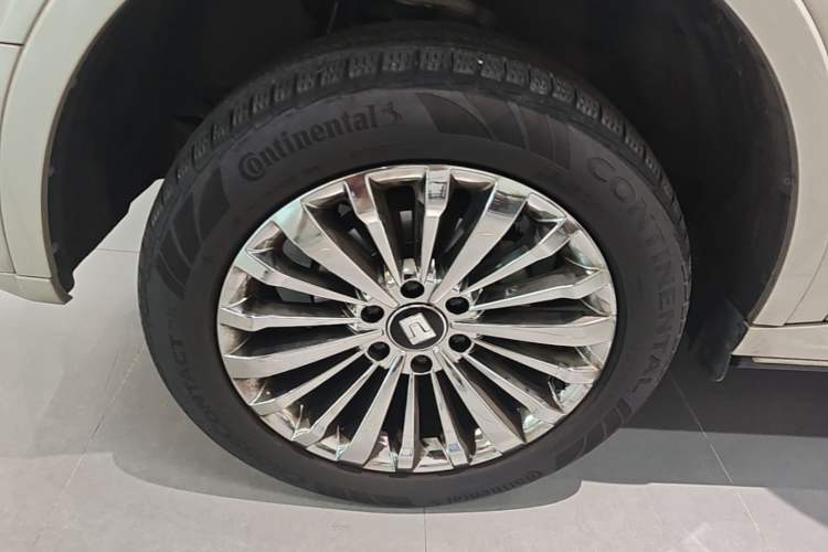 Used Tank 500 2023 3.0T Special Custom Edition 5 Seats Left Front Wheel Hub