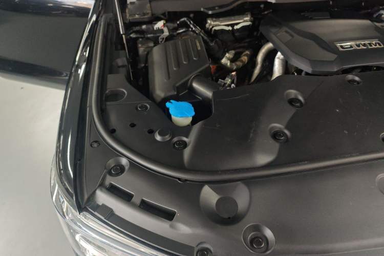 Used Tank 500 New Energy 2023 Hi4-T Engine Bay Right