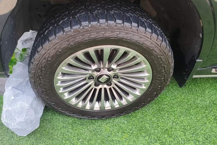 Used Tank 500 New Energy 2023 Hi4-T Exterior 4