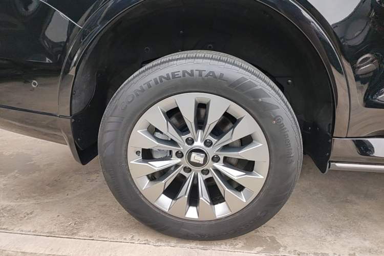 Used Tank 500 New Energy 2023 Hi4-T Exterior 5