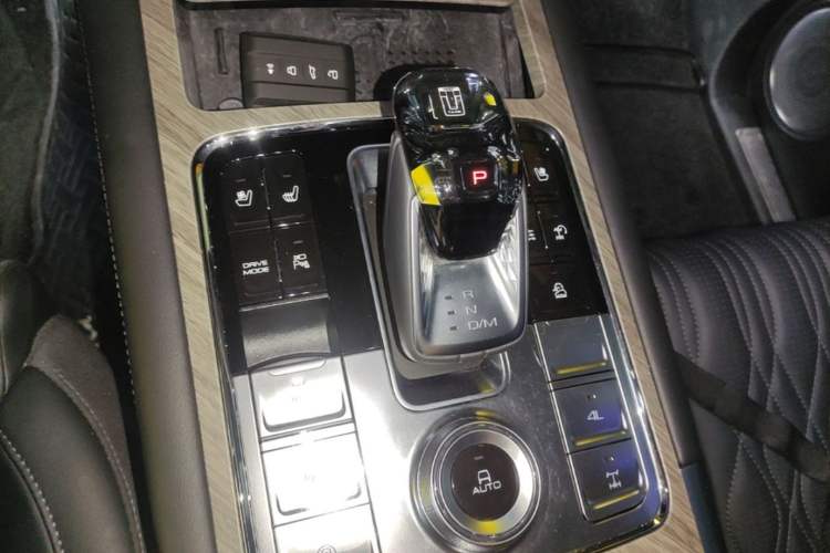 Used Tank 500 New Energy 2023 Hi4-T Gear Lever