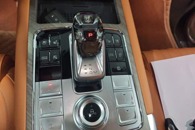 Used Tank 500 New Energy 2023 Hi4-T Gear Lever