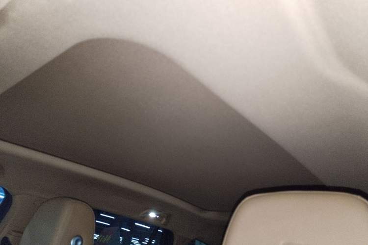 Used Tank 500 New Energy 2023 Hi4-T Headliner