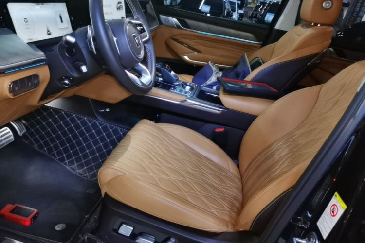 Used Tank 500 New Energy 2023 Hi4-T Left Front Seat