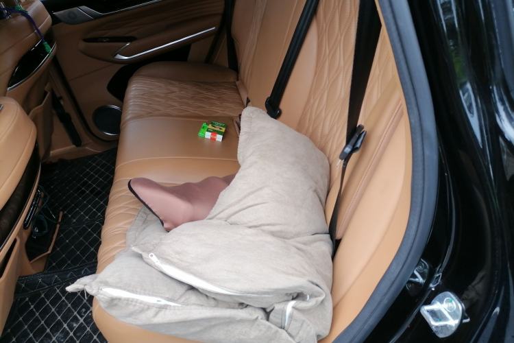 Used Tank 500 New Energy 2023 Hi4-T Left Rear Seat