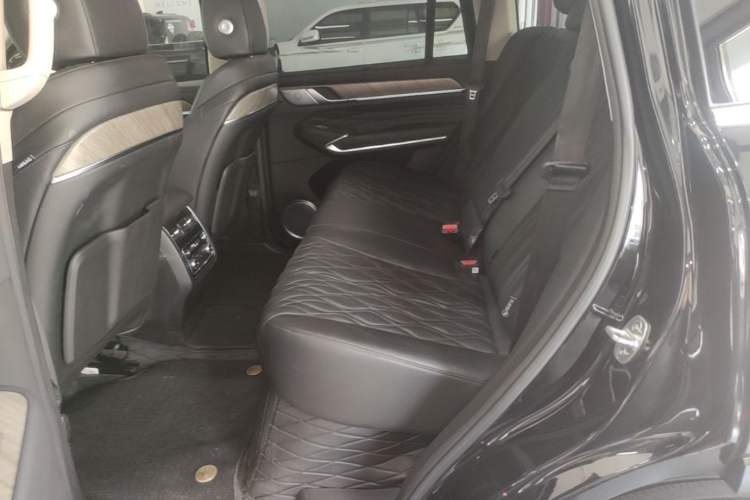 Used Tank 500 New Energy 2023 Hi4-T Left Rear Seat