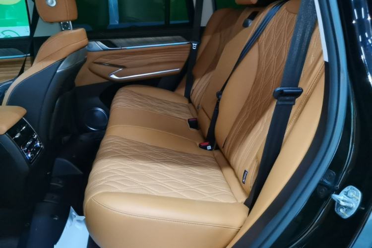 Used Tank 500 New Energy 2023 Hi4-T Left Rear Seat