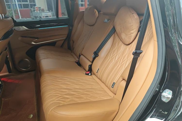 Used Tank 500 New Energy 2023 Hi4-T Left Rear Seat