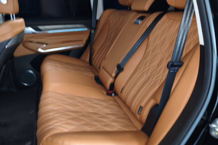 Used Tank 500 New Energy 2023 Hi4-T Left Rear Seat
