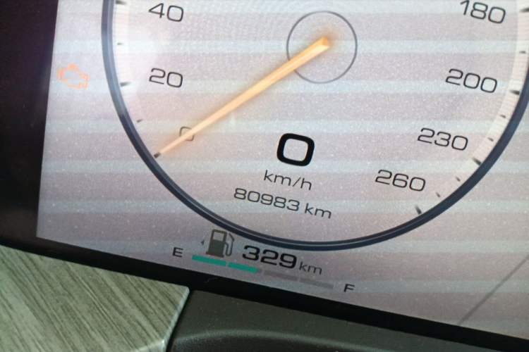 Used Tank 500 New Energy 2023 Hi4-T Odometer Close Up