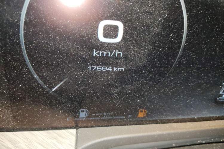 Used Tank 500 New Energy 2023 Hi4-T Odometer Close Up