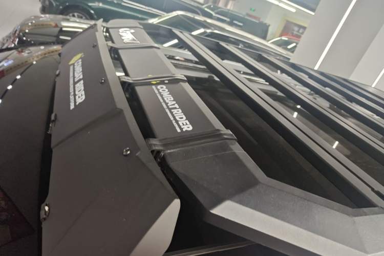 Used Tank 500 New Energy 2023 Hi4-T Roof