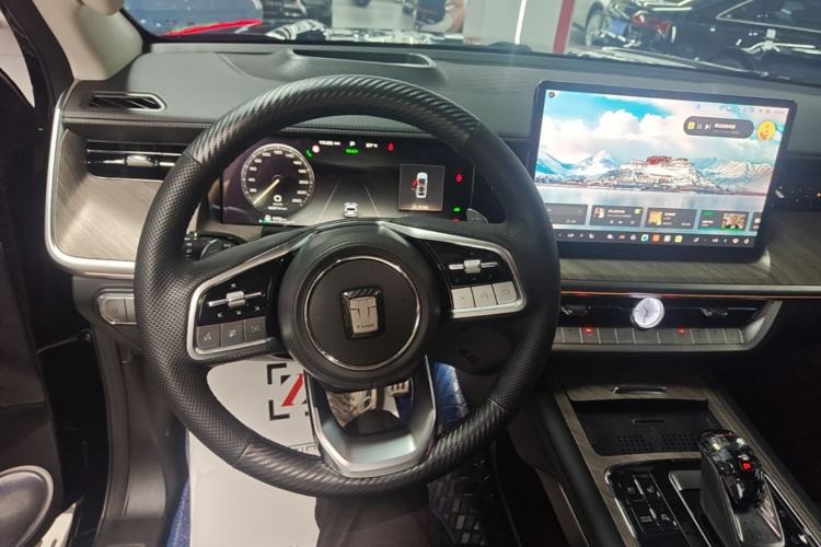 Used Tank 500 New Energy 2023 Hi4-T Steering Wheel
