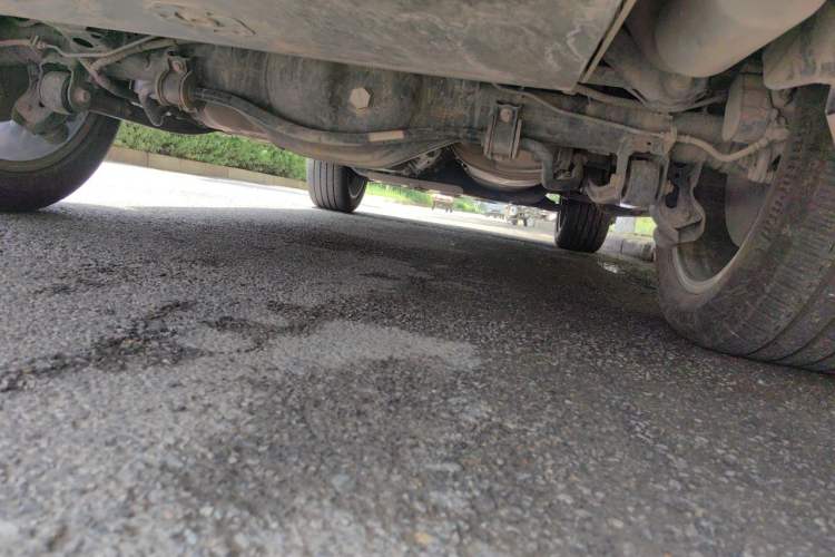 Used Tank 500 New Energy 2023 Hi4-T Chassis Rear