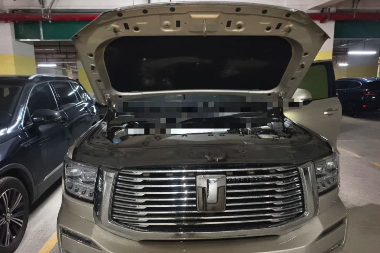Used Tank 500 New Energy 2023 Hi4-T Engine Bay