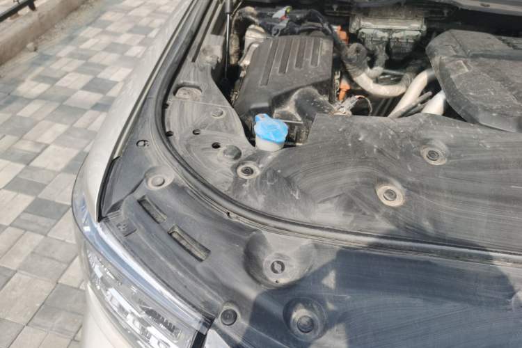 Used Tank 500 New Energy 2023 Hi4-T Engine Bay Right