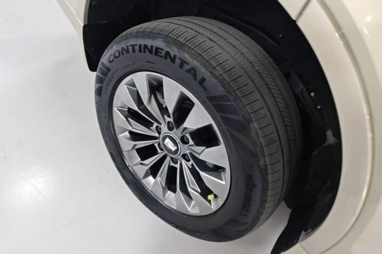 Used Tank 500 New Energy 2023 Hi4-T Exterior 5