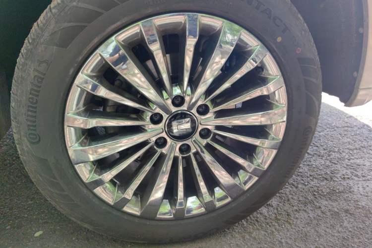 Used Tank 500 New Energy 2023 Hi4-T Exterior 7