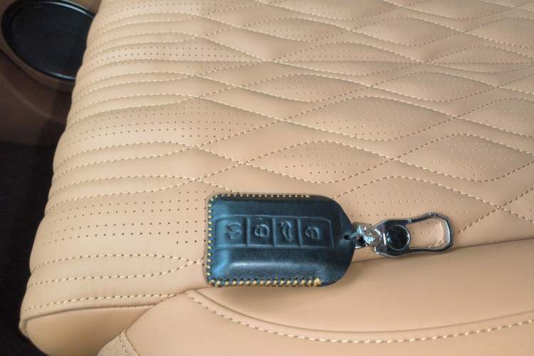 Used Tank 500 New Energy 2023 Hi4-T Interior 1