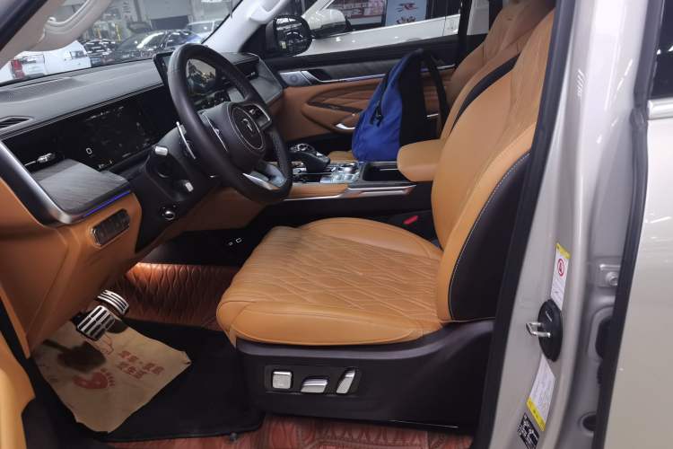 Used Tank 500 New Energy 2023 Hi4-T Left Front Seat