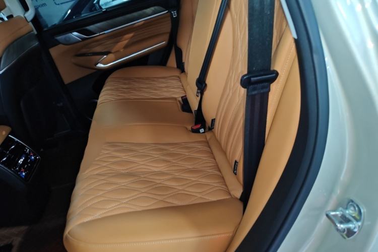 Used Tank 500 New Energy 2023 Hi4-T Left Rear Seat