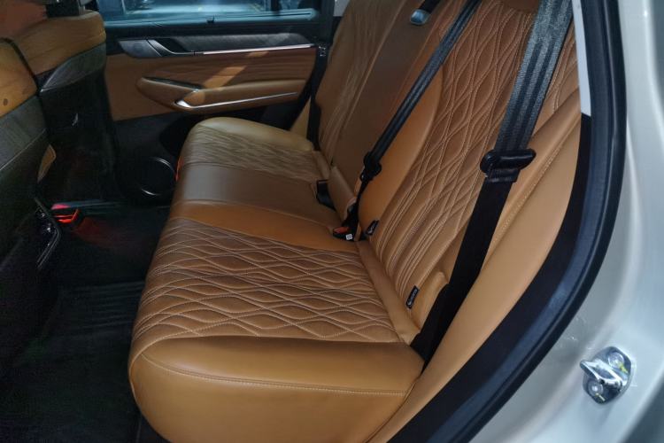 Used Tank 500 New Energy 2023 Hi4-T Left Rear Seat