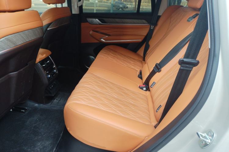 Used Tank 500 New Energy 2023 Hi4-T Left Rear Seat