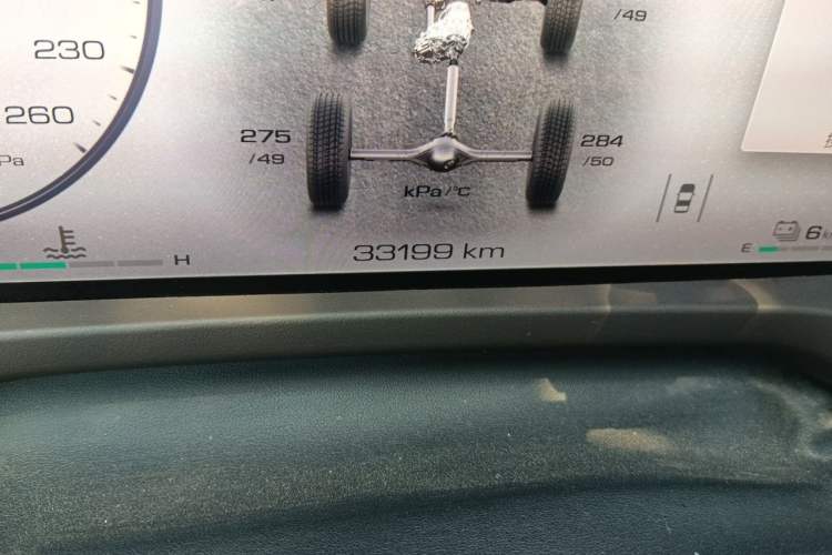 Used Tank 500 New Energy 2023 Hi4-T Odometer Close Up