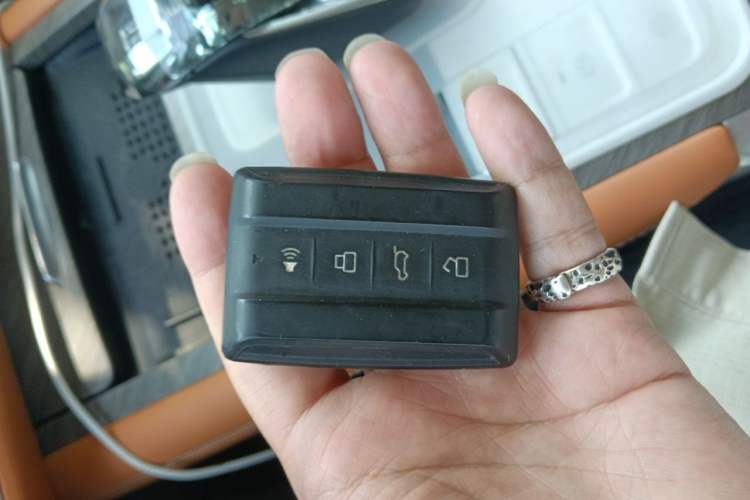 Used Tank 500 New Energy 2023 Hi4-T Vehicle Key