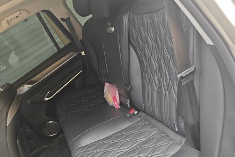 Used Tank 500 New Energy 2023 Hi4-T Left Rear Seat