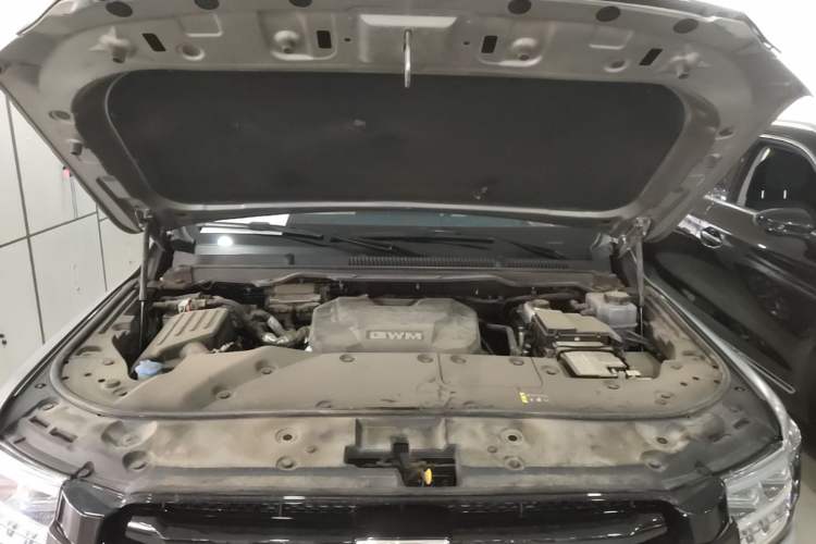 Used Tank 500 New Energy 2023 Hi4-T Engine Bay