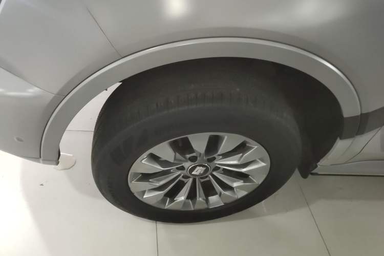 Used Tank 500 New Energy 2023 Hi4-T Exterior 4
