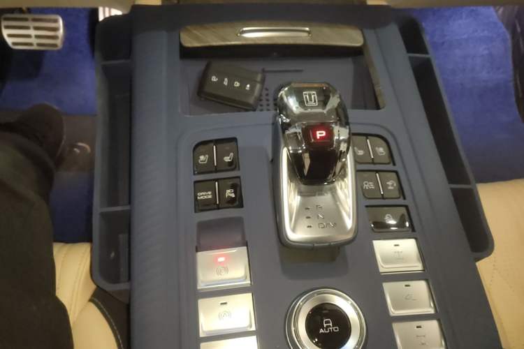Used Tank 500 New Energy 2023 Hi4-T Gear Lever