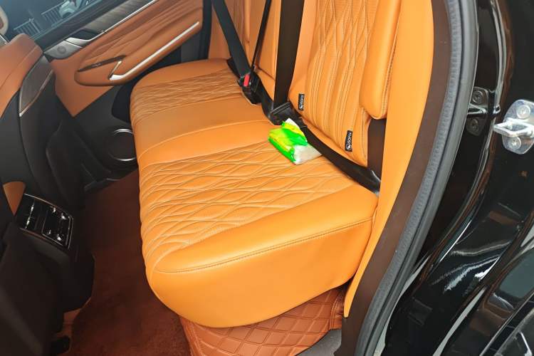 Used Tank 500 New Energy 2023 Hi4-T Left Rear Seat