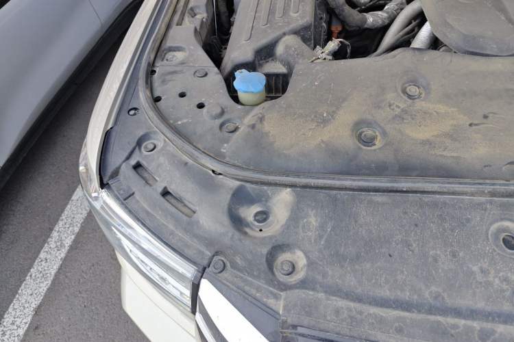 Used Tank 500 New Energy 2023 Hi4-T Engine Bay Right