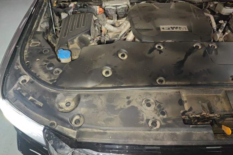 Used Tank 500 New Energy 2023 Hi4-T Engine Bay Right