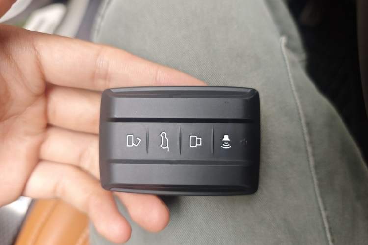 Used Tank 500 New Energy 2023 Hi4-T Vehicle Key