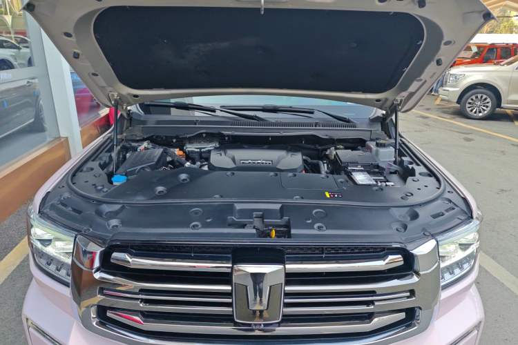 Used Tank 500 New Energy 2023 Hi4-T Engine Bay