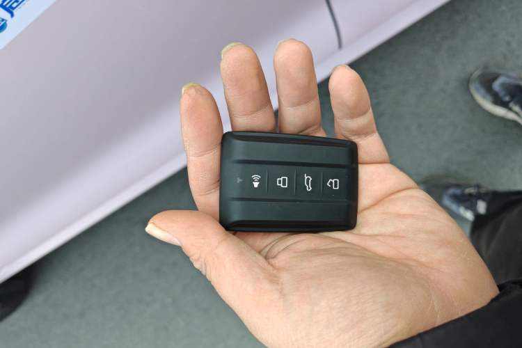 Used Tank 500 New Energy 2023 Hi4-T Vehicle Key
