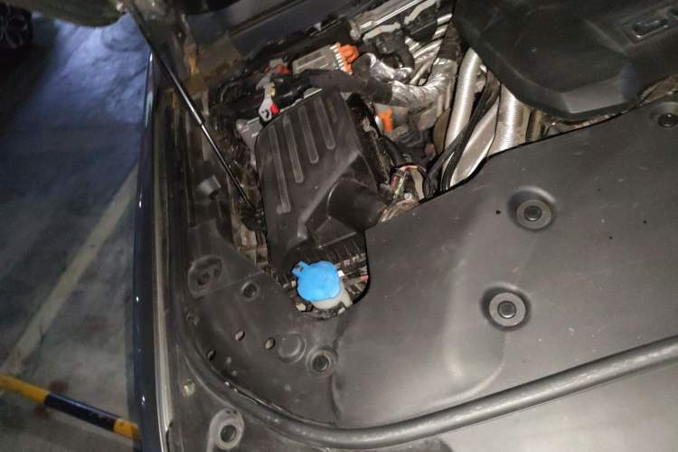 Used Tank 500 New Energy 2023 Hi4-T Engine Bay Right