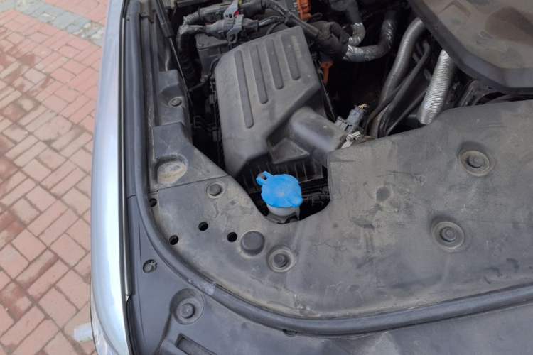 Used Tank 500 New Energy 2023 Hi4-T Engine Bay Right