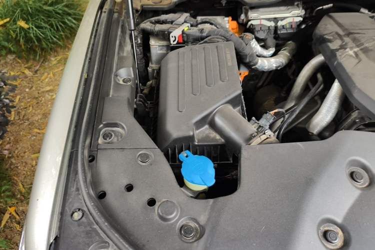 Used Tank 500 New Energy 2023 Hi4-T Engine Bay Right