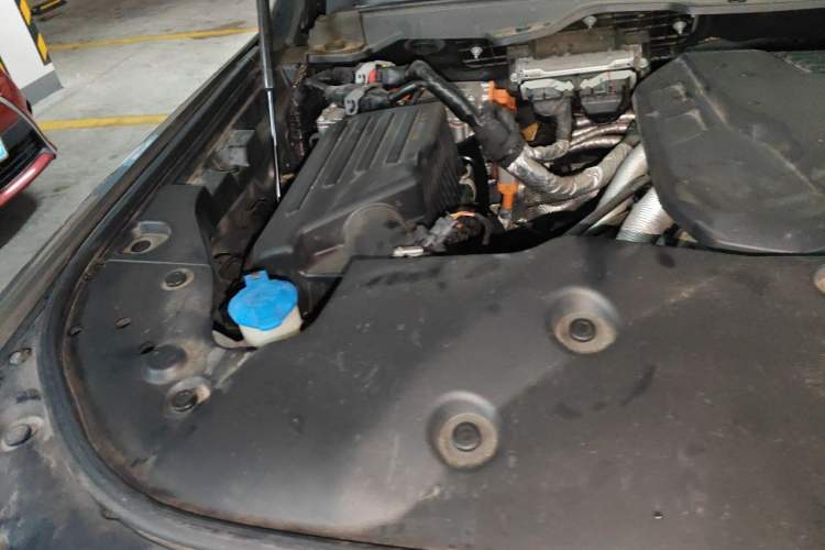 Used Tank 500 New Energy 2023 Hi4-T Engine Bay Right
