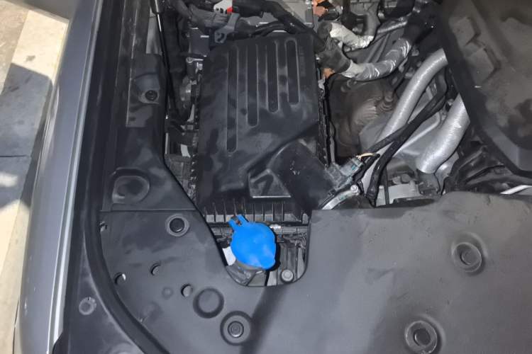 Used Tank 500 New Energy 2023 Hi4-T Engine Bay Right