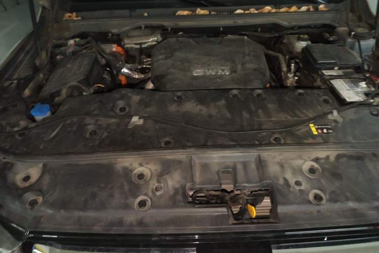 Used Tank 500 New Energy 2023 Hi4-T Engine Bay